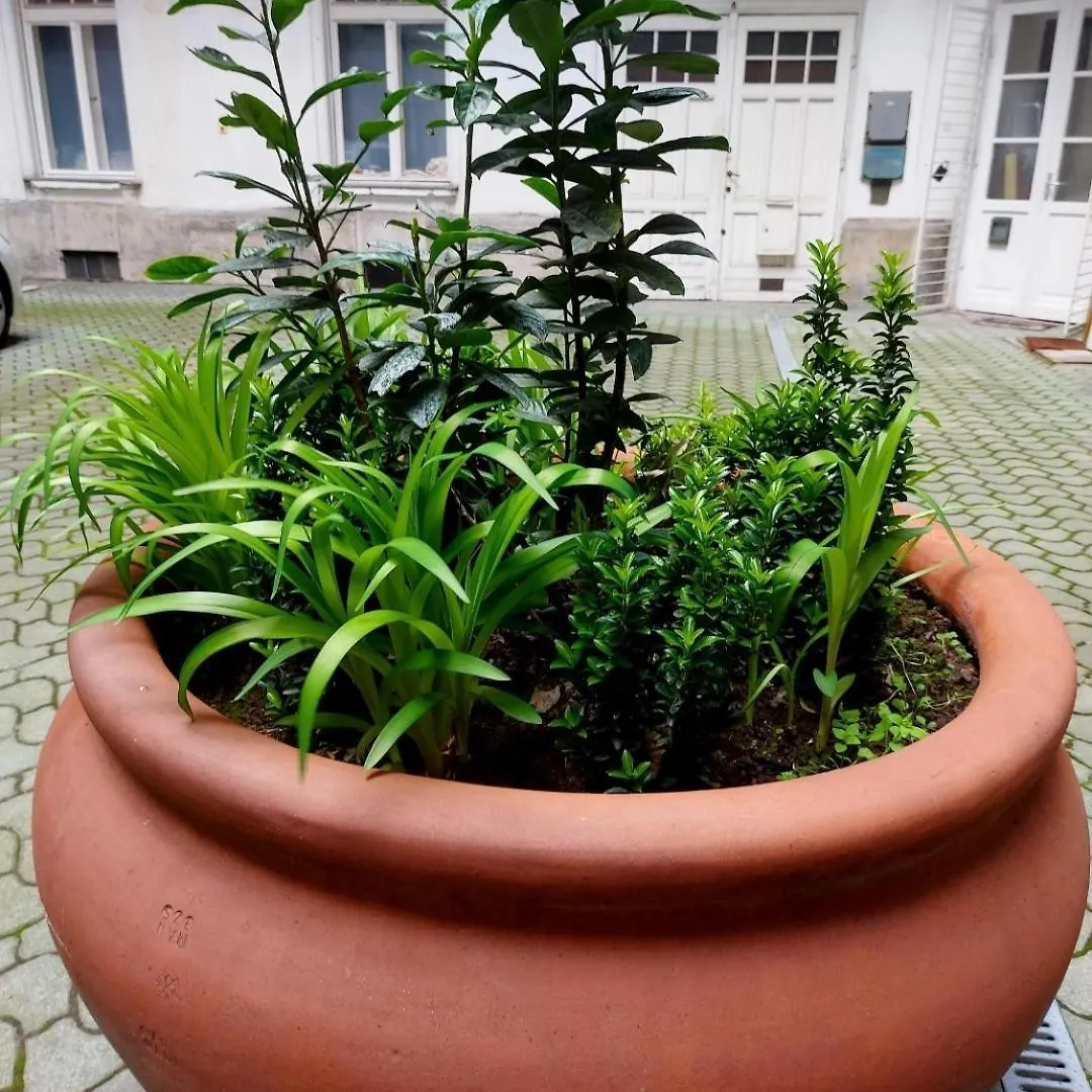 Apartment Like Studio City Centrum, Wifi, Terrace Budapest